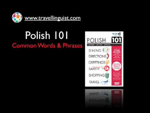 Polish 101 - Common Words &amp; Phrases - Level Three